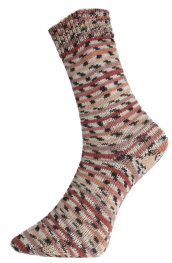 Pro Lana Golden Socks 4-fach Fashion 3 E17