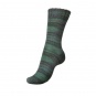 2591 - fern-green color