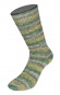 4323 - Grüne Socke