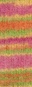 1305 -  Gelbgrün/Orange/Pink/Narzissengelb